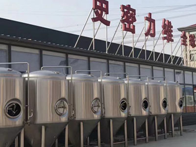 大关精酿啤酒设备厂—如何判断精酿啤酒设备的密封件需要更换？